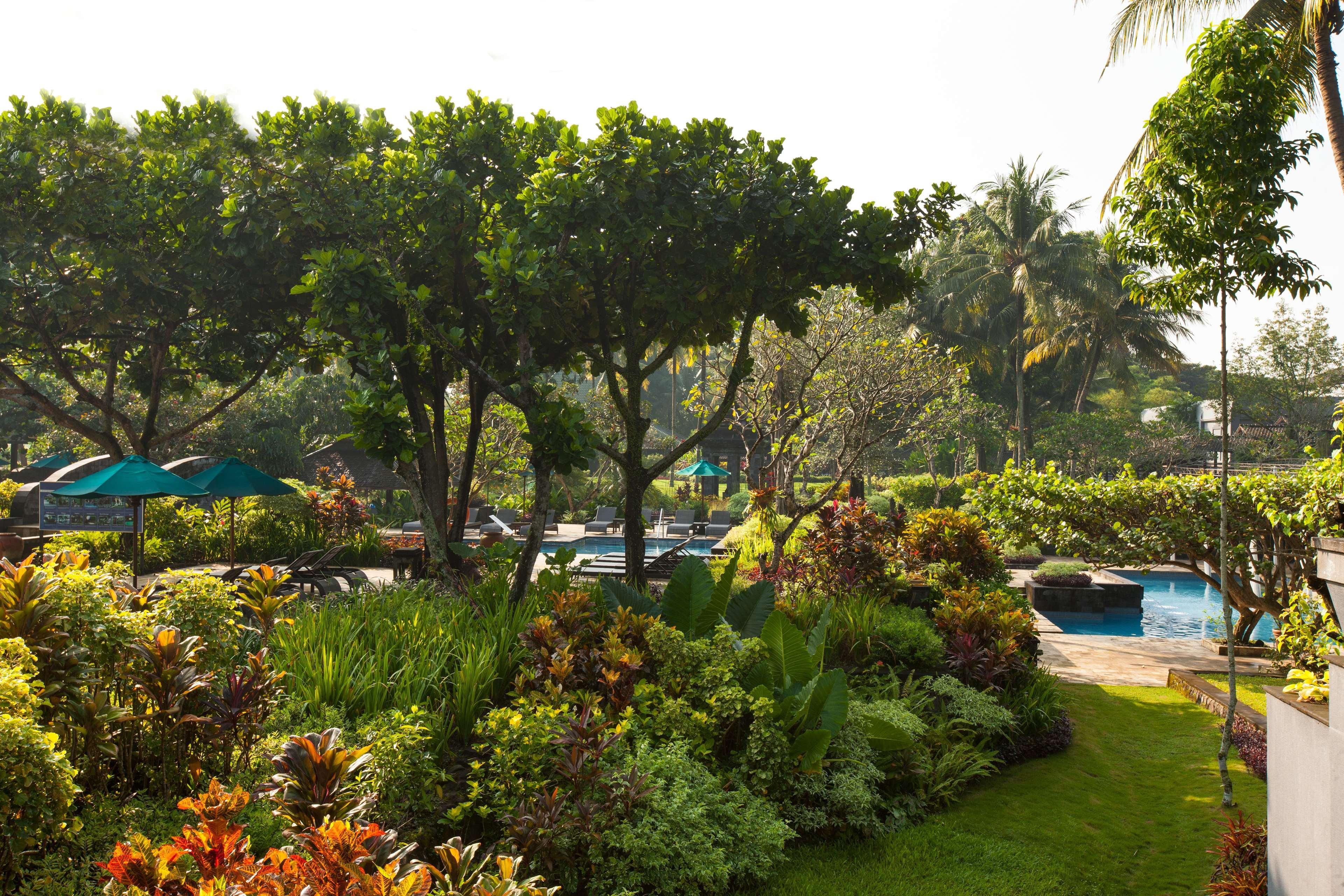 Hyatt Regency Yogyakarta Hotel Sleman  Ngoại thất bức ảnh The pool at the Royal Hawaiian Hotel